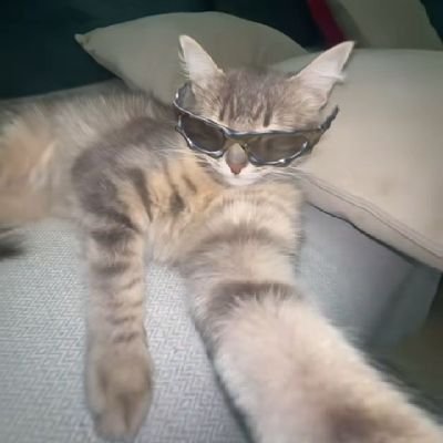 r40932's profile picture. who are you?and what are those?