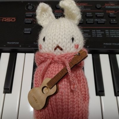 お茶の間キーボード/のんびりポピュラーピアノ🔰/ぬいぐるみ/XG/King Gnu/椎名林檎/サカナクション/藤井風 他にもジャンル問わず音楽大好き!推しが大渋滞中。何でもやってみなはれの気持ちで生きています。