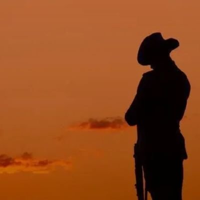 MattWallac62794's profile picture. Honorable Patriot/ America must be great again 🇺🇸🙏
I follow all patriots please follow back❤️