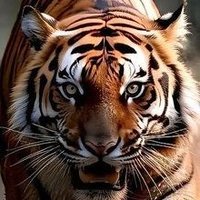 SERIES (@gre8vext) 's Twitter Profile