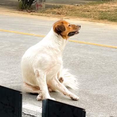 a3kp4t's profile picture. 