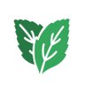 mint_lang's profile picture. The programming language for writing single page applications.