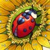 LADYBUG (petit scarabée)🐞🪷💜 (@petitscarabe205) Twitter profile photo LADYBUG (petit scarabée)🐞🪷💜 (@petitscarabe205) Twitter profile photo