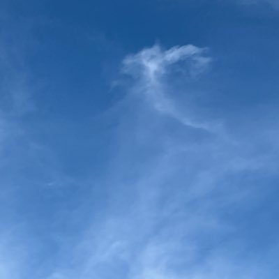 French2000ni's profile picture. フォトナ好き