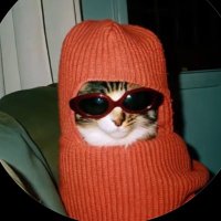 naysss / ridi canva fullgar (@flowlhy) 's Twitter Profile