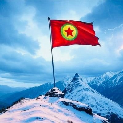 AvendarQ52968's profile picture. 