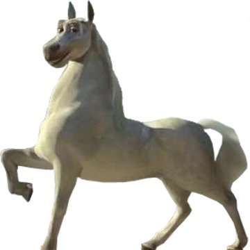 zainny Profile