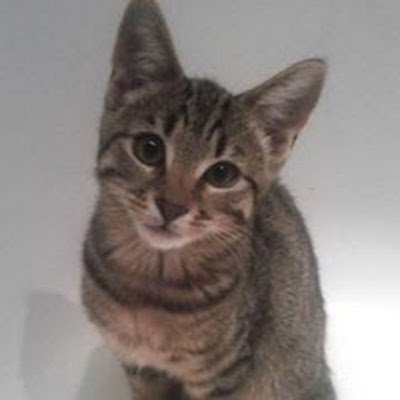 VeraLazzie's profile picture. 