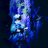 Jas_aquablue
