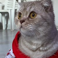 Florisko💝🌷 #yasayıgeriçek (@cilvesuflora) Twitter profile photo