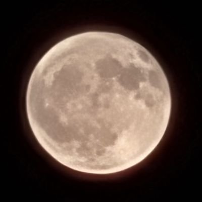 かつおさんのプロフィール画像
