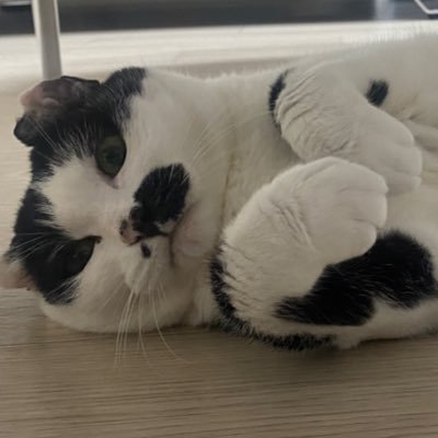 aeong_e_aeong's profile picture. 👋✋-☆/습관적싯팔러/인류애가 쉽게 넘치고 빠르게 바닥남/뮨파(혐)