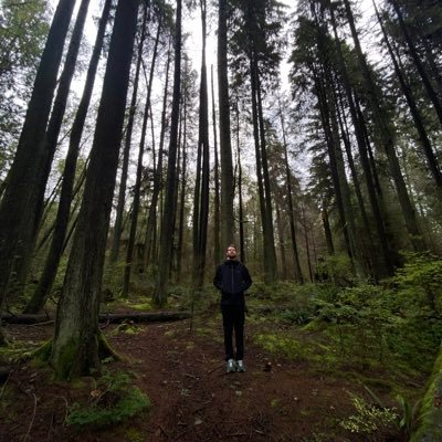 LouisLtz's profile picture. 