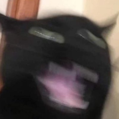 meow meow moe moew meoeoeoeooeoe mewwwww meow neww meoooooooomeow éc éc i am soo lazzyy, éc éc éc éc meo meo 😭😭😭 😭