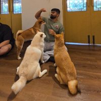 Subham Bhattacharjee (@subhaminion) 's Twitter Profile