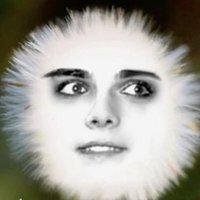 고담 (@marketromance) 's Twitter Profile Photo