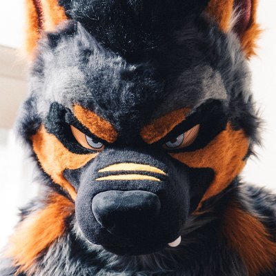 AK-9🚨→Infurnity Profile
