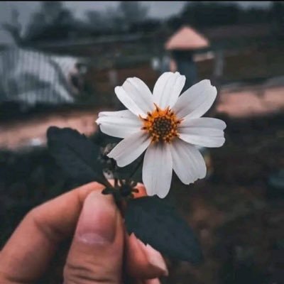 Love yourself before loving someone else. If you don't love yourself, no one will love you.
