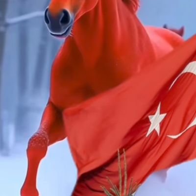 Aydın merkez de yaşıyorum 176 boy 78 kilo buğday ten bir kahve içmeye ne dersiniz? 56 yaşında tek erkeğim haydi dm