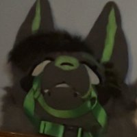 trix π (@trix_ad) 's Twitter Profile