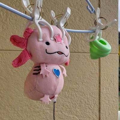 らいとすとーん✩#さんのプロフィール画像