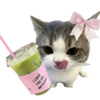 sam_rpm'25𐔌՞. .՞𐦯.☘︎ ݁˖ (@rpmsam_atcha) 's Twitter Profile Photo sam_rpm'25𐔌՞. .՞𐦯.☘︎ ݁˖ (@rpmsam_atcha) 's Twitter Profile Photo