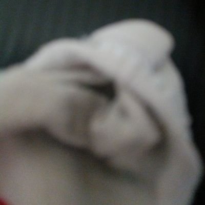 benjo2525's profile picture. 