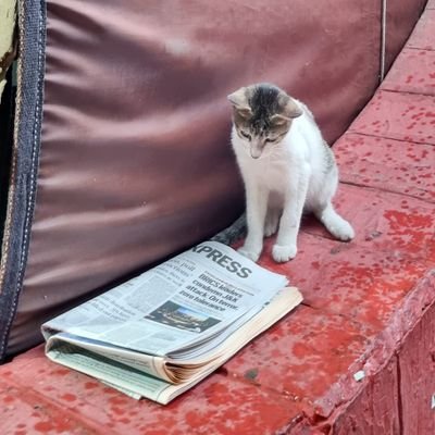 recluse, flaneur, uninterested & curious