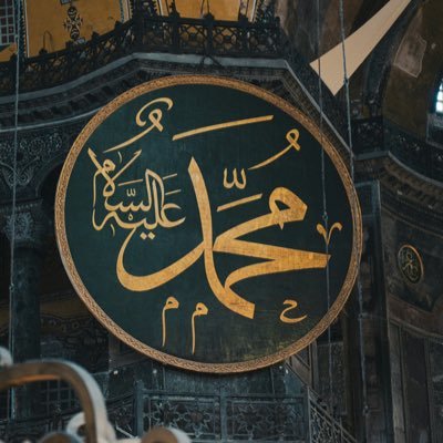 serdarylrm54's profile picture. 