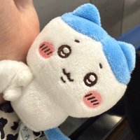 ちゃむ定食 (@hachi_moncham) 's Twitter Profile