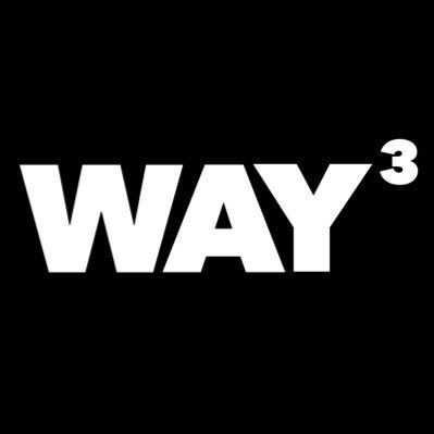 W.A.Y-3 Profile