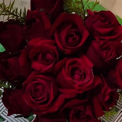 JanaRimi43195's profile picture. 