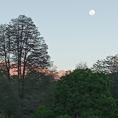 claumai7's profile picture. Despertando en consciencia...........