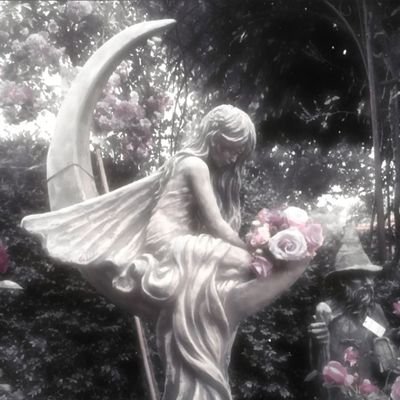 lateaprilnights's profile picture. 