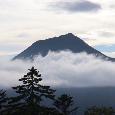 Nishi_sanso's profile picture. 8thマス(Pa)・社畜・鉄研・地理研→東大キャップ投げ#25、地理部、作サー生物 キャップ投げ→@Nishisa_Cap