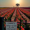 Adam - @justaaf467 - Twitter