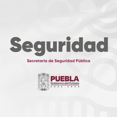 Secretaría de Seguridad Pública Profile