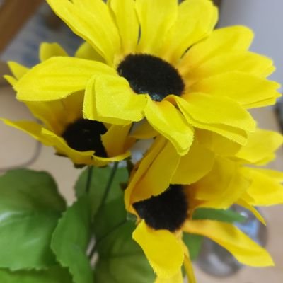 Sunflower0706JP's profile picture. I'am Japanese junior high school students.
I post on Twitter everyday life, becose I'm not good at using English.
If I have miss and improvement ,→
