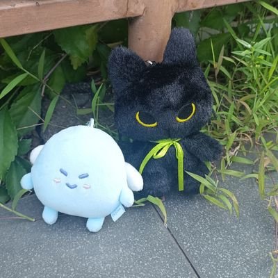 uzhmah's profile picture. just an ordinary person ☺