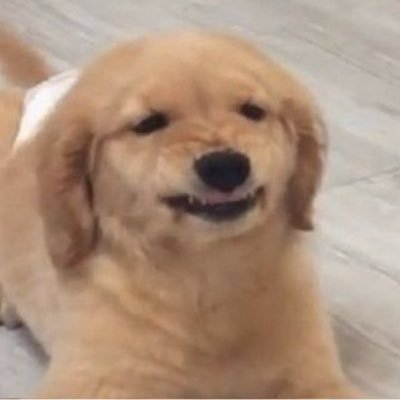 @Manpendubdib