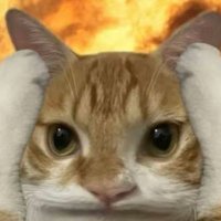 kimi²³ (@supermegandrey) 's Twitter Profile
