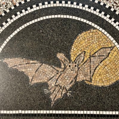 wild_goooose's profile picture. i met my love under an acacia tree // or was it an orange tree // or was he not my love?