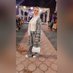 mai ahmed (@maiahmed1340526) Twitter profile photo mai ahmed (@maiahmed1340526) Twitter profile photo