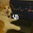 bocahsadd's profile image