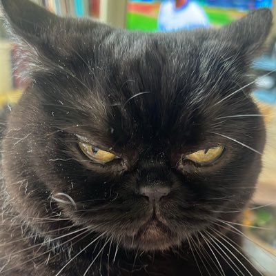 SopranoMegs's profile picture. Proud Newfoundlander. Soprano. Military Wife. Music Teacher. Cat Mom. Gym/Skate fan. @AcadiaU '08. @MemorialU '11