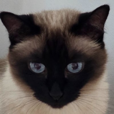 160827_1108's profile picture. 짓시는 안물어보시고 편하게 들어오셔도 댑니다요