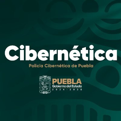 CiberPolicía Pue Profile
