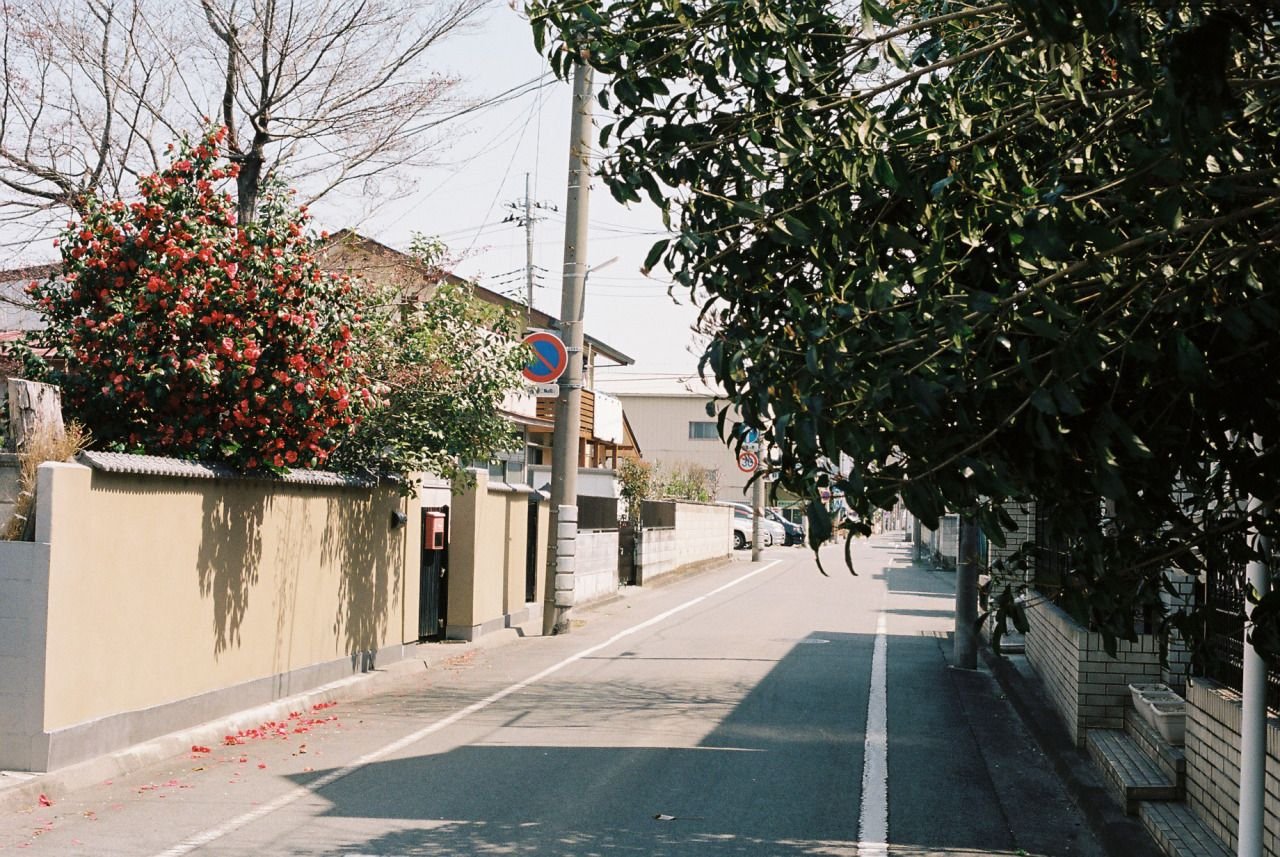 MoveThousandOak's profile picture. AIにてオリジナルキャラの燈（あかり）をメインに生成してます。