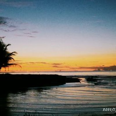de_sanyuri's profile picture. 