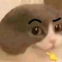 NOB🔞COMMS OPEN (@atomsk0002) 's Twitter Profile Photo